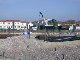 Img3768.jpg