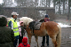 IMG_7024_edited-1.jpg