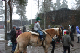 IMG_7035_edited-1.jpg
