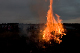 Kuusikokko 2007