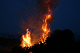 Kuusikokko 2008
