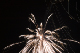 CRW_2053_edited-1.jpg