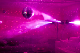 CRW_6595.jpg