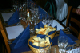 IMG_7855_edited-1.jpg