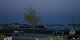 IMG_7990_edited-1.jpg