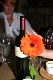 IMG_3837_edited-1.jpg