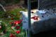 IMG_4476_edited-1.jpg